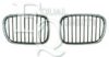 BMW 51132005261 Radiator Grille